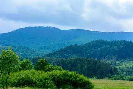 《上山下乡五十年祭》之七