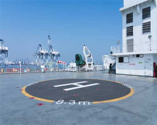 天天训狗 教你在游戏中训练狗狗！