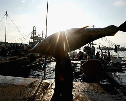 木匠师傅，教你如果一招搞定，多功能木工简易划线器的制作方法